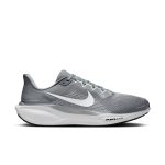 Nike Pegasus 41 Gris