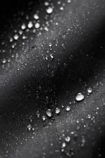 Alo Chaqueta Alpha Shell Negro - Imagen 6